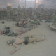 Image for article titled Are You Crazy Enough To Fly To Burning Man?